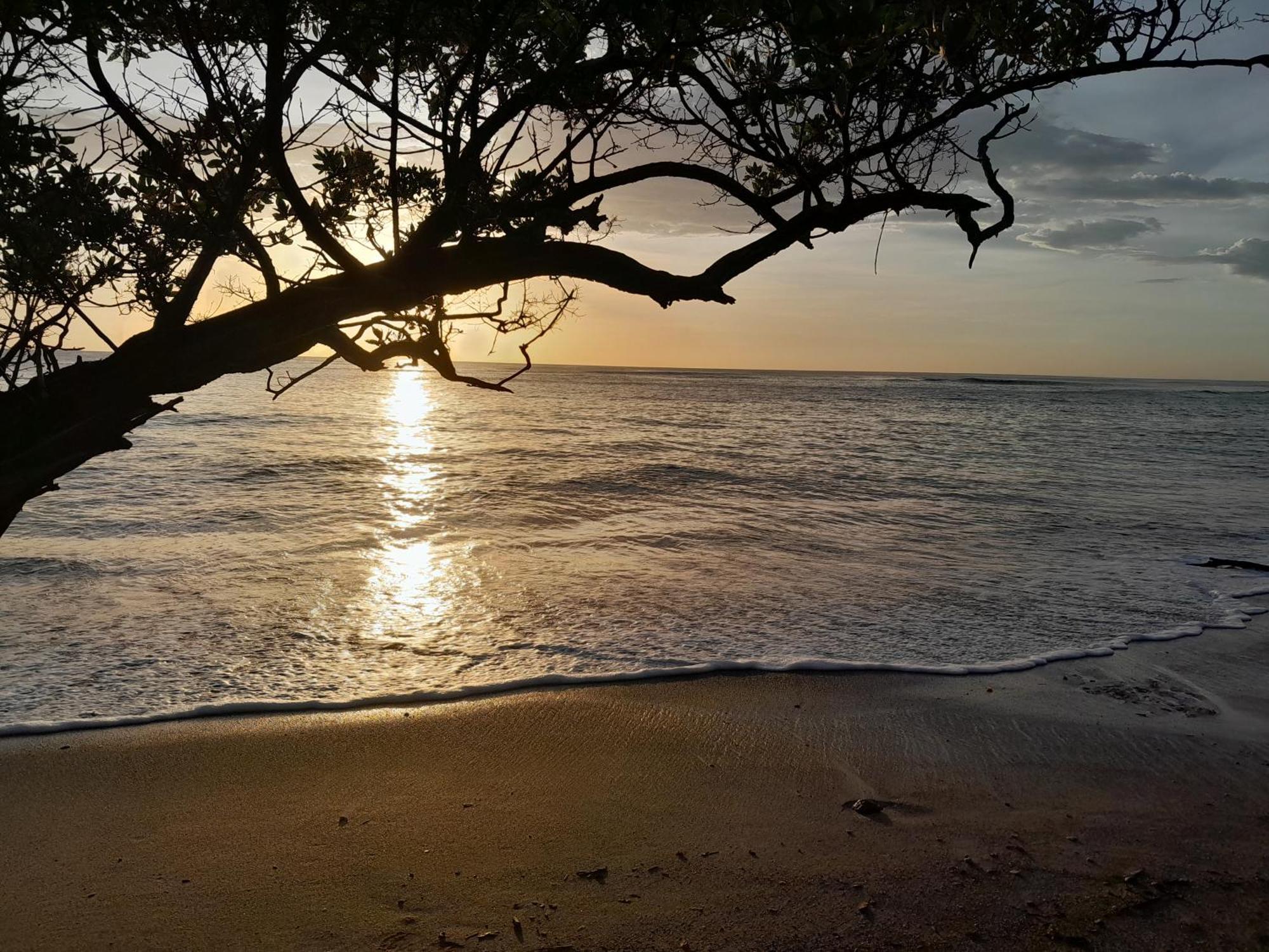 Hotel Cabinas La Playa プラヤ・アベヤナ エクステリア 写真