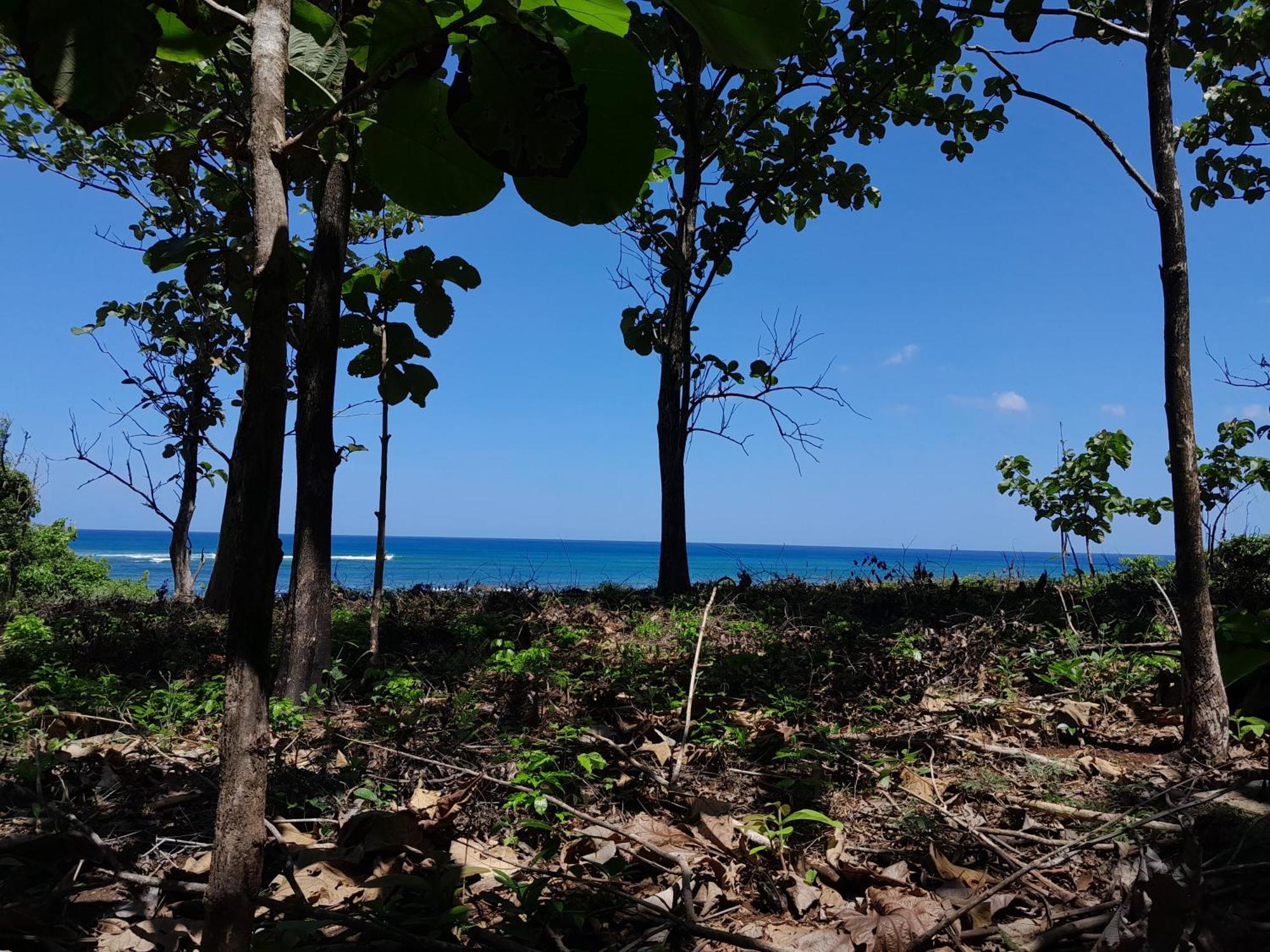 Hotel Cabinas La Playa プラヤ・アベヤナ エクステリア 写真