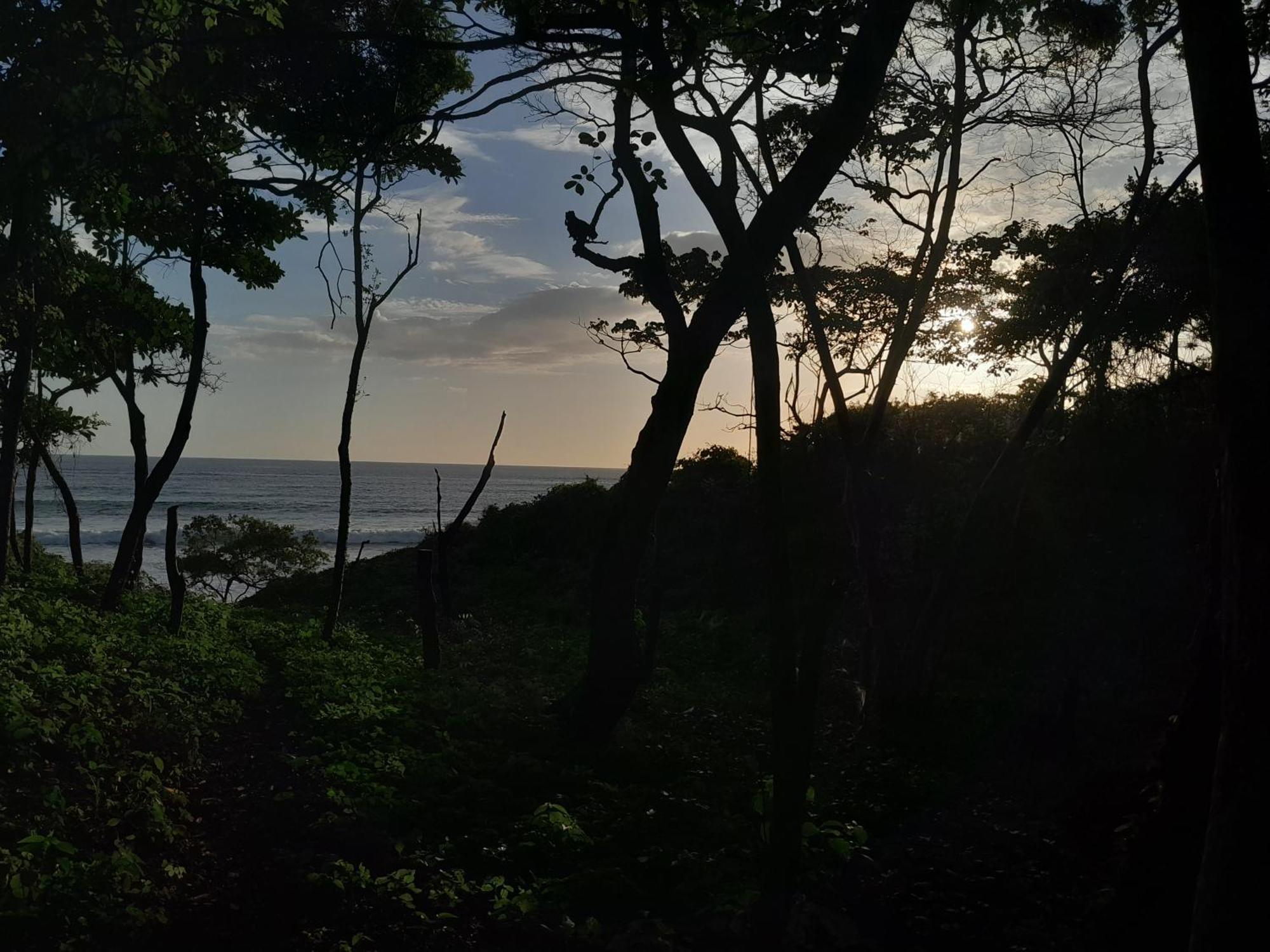 Hotel Cabinas La Playa プラヤ・アベヤナ エクステリア 写真